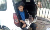 Addio a Zita, l'anziana morta in un incidente: "Fondamentale il suo impegno per la tutela degli animali"