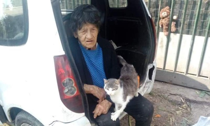 Addio a Zita, l’anziana morta in un incidente: “Fondamentale il suo impegno per la tutela degli animali”