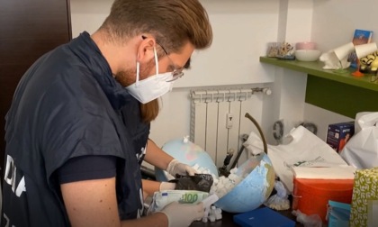 Finte prescrizioni di medici per trattamenti dentistici: tre arresti per corruzione