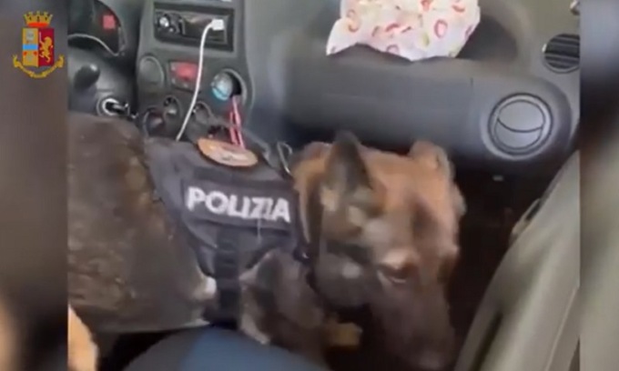 Era in auto con più di 5 kg di droga: fermato 32enne a Rozzano