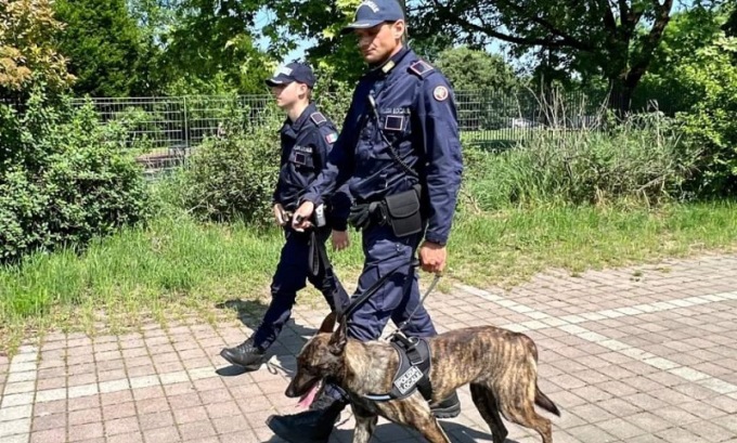 Il cane Mitrix trova la droga nascosta nel pluviale dei negozi a Rozzano