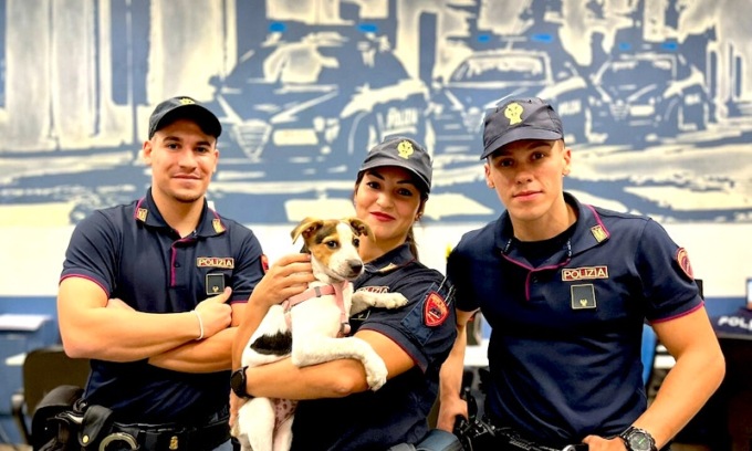 Milano, dà di matto per non mettere la mascherina e lancia il proprio cane sui binari della metro