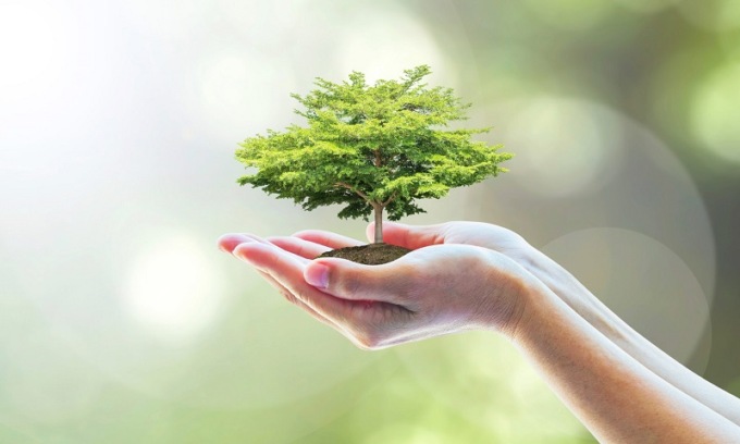 A Trezzano alberi per i nuovi nati nel Parco di viale Cavour