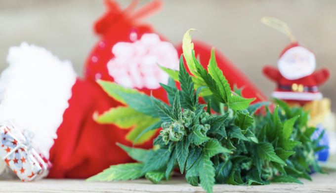 Regalo di Natale sorprendente? Popper, Olio di CBD e Ganja Legale