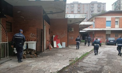 Controlli della polizia locale a Corsico e Buccinasco: trovati armi, droga e biciclette rubate