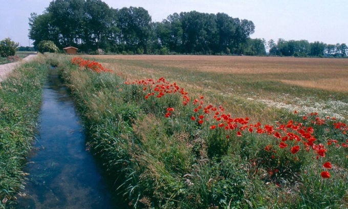 Passaggio di gestione del Parco Sud: la petizione online raccoglie quasi 4mila firme
