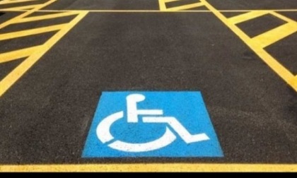 Incivili parcheggiano sui posti dei disabili, l'appello dell'assessore: "Aiutateci segnalando subito gli episodi"