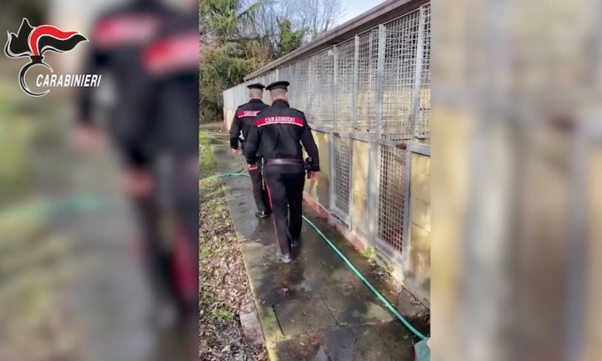 Cani tenuti in condizioni pietose e altri morti chiusi in sacchi: sequestro nel canile