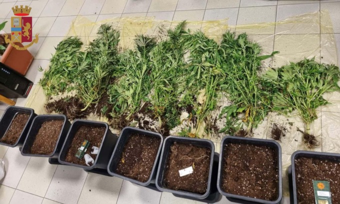 Una piccola serra di marjuana di famiglia in appartamento: arrestato pusher 19enne