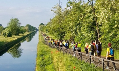 Milano-Pavia: al via a maggio la quarta edizione della Camminata in giallo