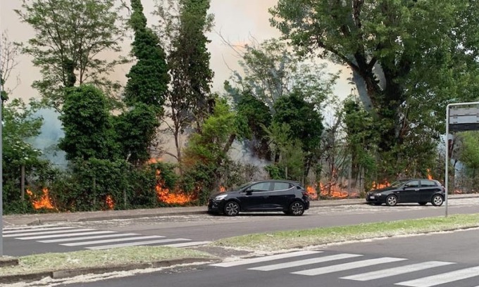 “Pioppini” prendono fuoco: piante e tane degli animali distrutte