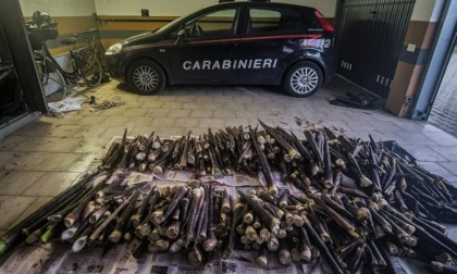 Rubano radici e piante di bamboo per un valore di 2.500 euro: sei arrestati