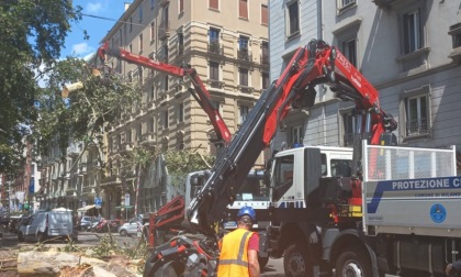 A Milano è ancora emergenza: da liberare ancora 700 punti bloccati da alberi caduti