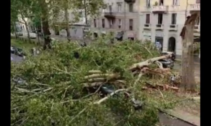 280 interventi in 24 ore dei vigili del fuoco per la tempesta che si è abbattuta su Milano e sull'hinterland