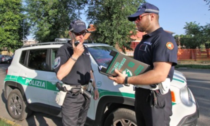 Cinquanta grammi di hashish in auto, arrestato dalla polizia locale
