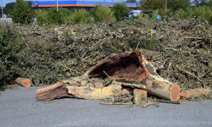 Il lungo percorso di Trezzano per tornare alla “normalità” dopo le tempeste di fine luglio