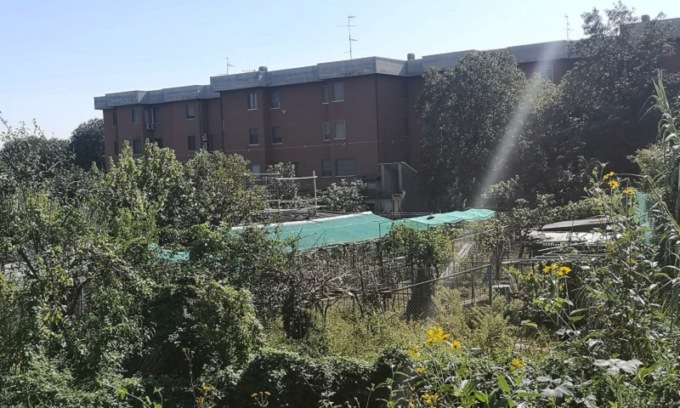 Orti comunali: aperto il bando per la riqualificazione dell’area di via Fontanile