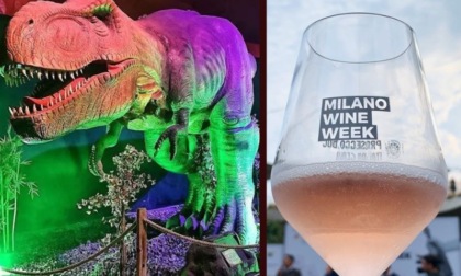 Cosa fare a Milano e hinterland nel weekend: gli eventi di sabato 7 e domenica 8 ottobre 2023