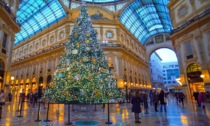 Ventidue alberi di Natale illumineranno Milano, e l'abete in piazza Duomo si vestirà d'azzurro per le Olimpiadi. Ecco dove trovarli