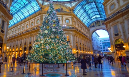 Ventidue alberi di Natale illumineranno Milano, e l'abete in piazza Duomo si vestirà d'azzurro per le Olimpiadi. Ecco dove trovarli