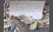 Bocconi avvelenati e minacce contro i cani ai giardini Bonelli nel Municipio 8