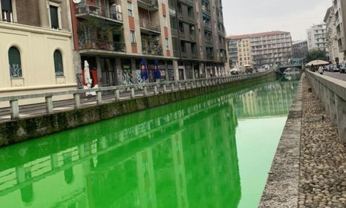 L’acqua del Naviglio si è colorata di verde: cosa è successo