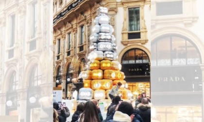 Milano, l'albero di Natale di Gucci imbrattato dagli attivisti di Ultima Generazione