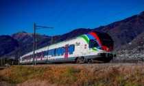 Sul treno Lugano-Milano con 14 chili di perle coltivate in valigia: proprietario denunciato