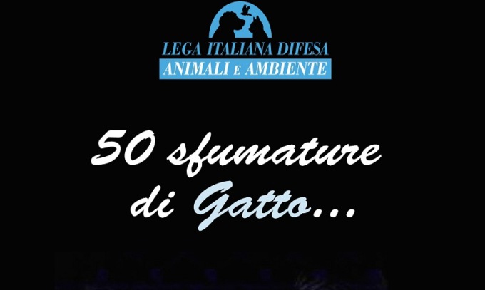Un ebook solidale per gli amici con la coda: non solo una buona lettura ma una lettura buona!