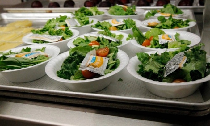 Basiglio, bambini trovano vermi e lumache nell’insalata della mensa scolastica