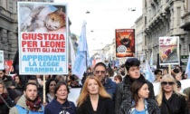 In piazza a Milano per chiedere più diritti degli animali: "Mettiamo fine all'impunità"