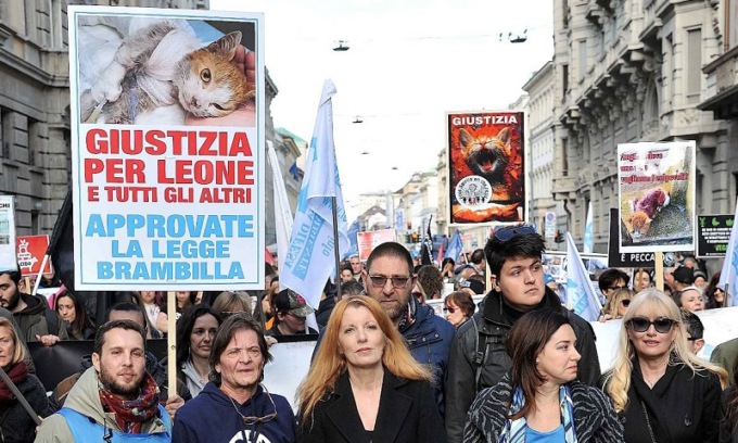 In piazza a Milano per chiedere più diritti degli animali: “Mettiamo fine all’impunità”
