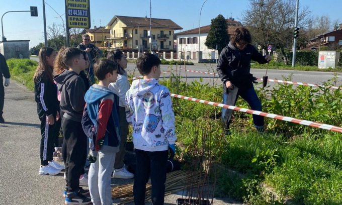 Gaggiano, piantate le essenze per creare la nuova barriera verde che costeggia la provinciale