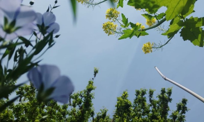 Dal 2 marzo nuovo calendario di appuntamenti al Museo Botanico