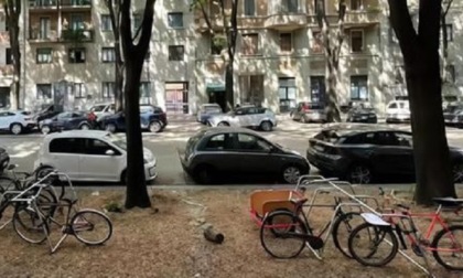 Cittadini multati per mille euro per aver riqualificato un'area verde a Milano