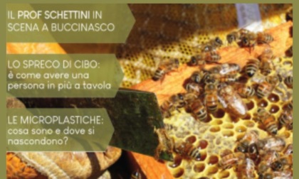 "Eco(R)esistenza" è la nuova rivista sui temi dell'ambiente del Comune di Buccinasco