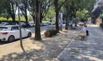 A Milano coi tronchi degli alberi si combatte sosta irregolare e parcheggi selvaggi