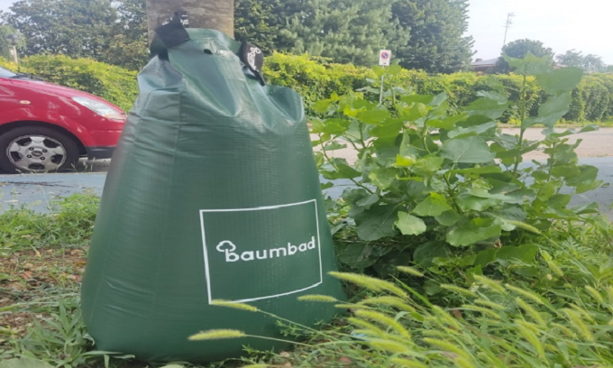Assago inaugura il nuovo metodo “goccia a goccia” di irrigazione degli alberi