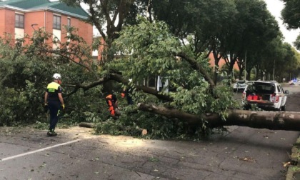 Maltempo, i danni nel sud Milano: allagamenti e alberi caduti