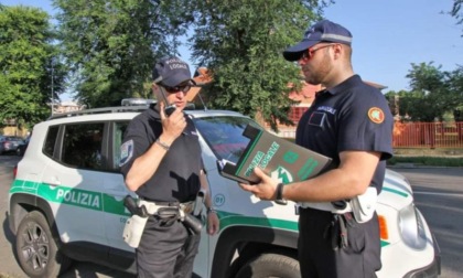 Maltratta il suo cane con calci e bastonate: gli agenti sequestrano e salvano l'animale