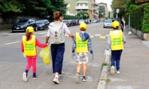 Puliamo il Mondo 2024, a Cesano raccolti centinaia di mozziconi di sigaretta