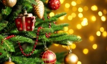 Tutto pronto a Basiglio per accendere tutti insieme l’albero di Natale