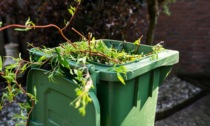 Raccolta del verde: a Cusago presto in arrivo il servizio porta a porta