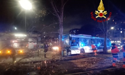 Autobus Atm si schianta contro un albero: diversi feriti