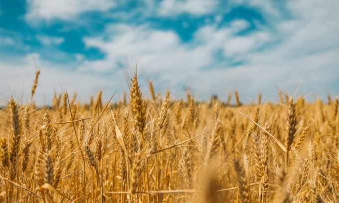 A Gaggiano un incontro pubblico su futuro e innovazione dell’agricoltura