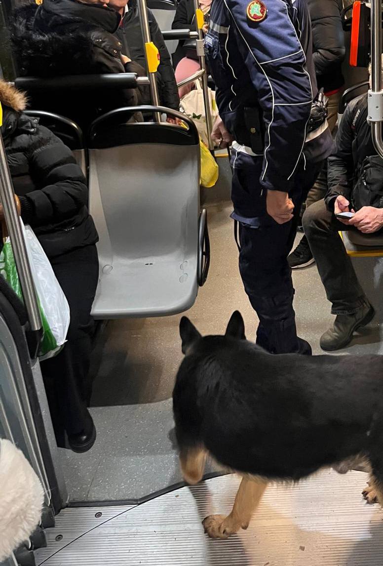 SICUREZZA, CONTROLLI SU LINEA 90-91 E IN METRO: ANCHE UNITÀ CINOFILE (FOTO 4)