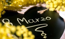 Il marzo delle donne a Cesano arriva con un ricco calendario di eventi: film, teatro, musica e mostre