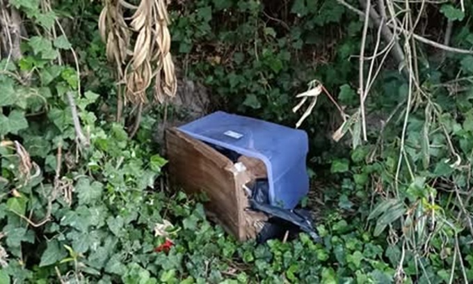 Macabro ritrovamento di 6 carcasse di cani in strada: si indaga per crudeltà verso gli animali