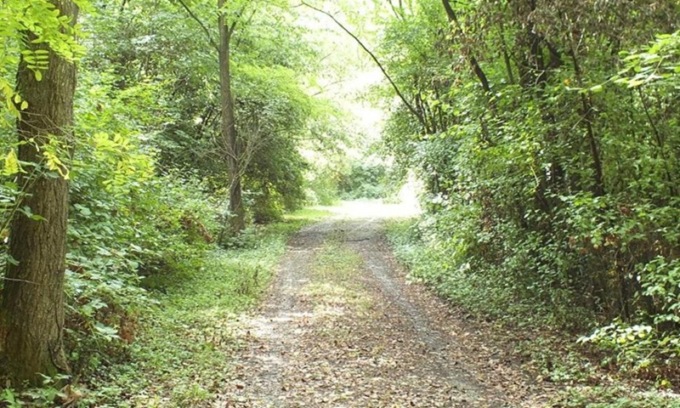 Spaccio al Parco delle Groane: quattro pusher finiscono in manette