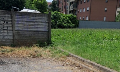 Anche a Buccinasco continua l’emergenza rifiuti abbandonati: il Comune si appella ai cittadini
